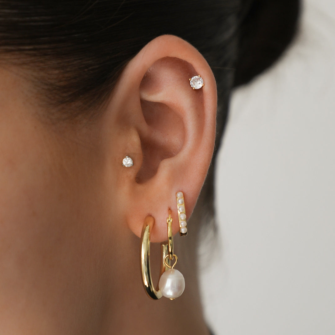 Shiny Earrings