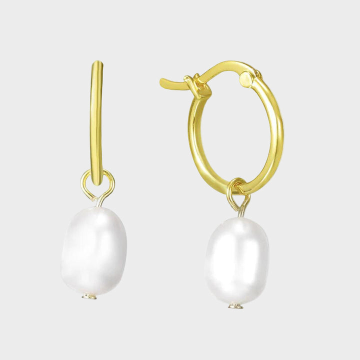 Shiny Earrings